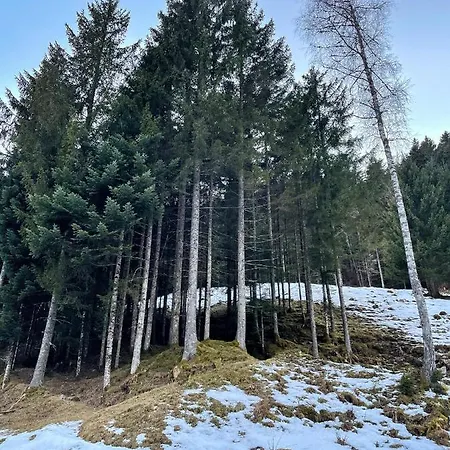 Gozdni Raj Rogla Apartma 1 Apartman Oplotnica