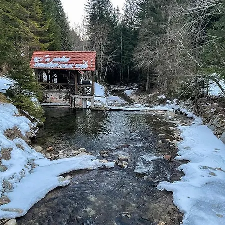 Gozdni Raj Rogla Apartma 1 * Oplotnica
